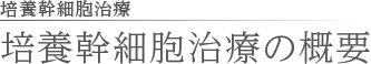 培養幹細胞治療の概要