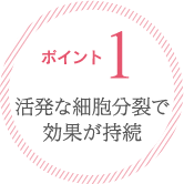 ポイント１：活発な細胞分裂で効果が持続