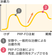 修復機能を高めて自己治癒力で完治