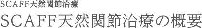 SCAFF天然関節治療の概要